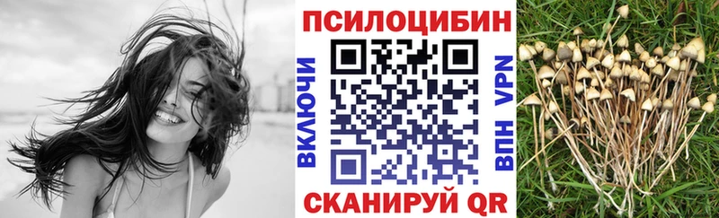 Купить закладки  Десногорск  Псилоцибиновые грибы Cubensis 